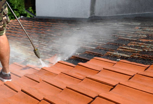 Best Residential Pressure Washing Services  in White City, FL